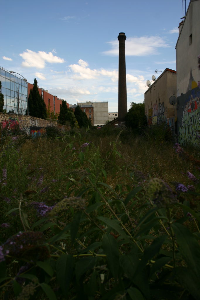 street art montreuil bricedu artiste atelier des epernons